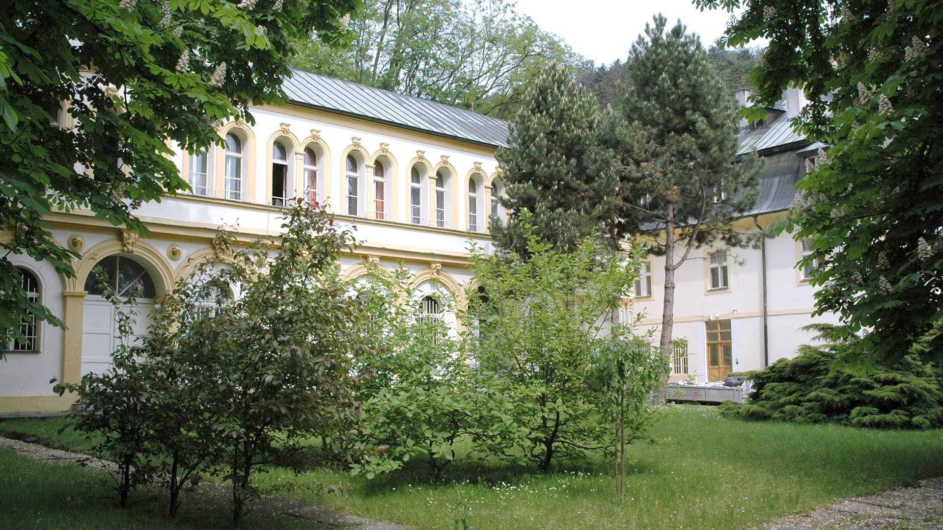 DSC 3807